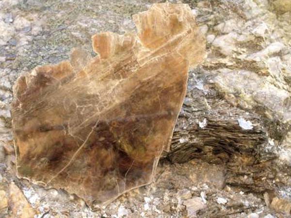 云母含鐵愈高時，顏色愈深，同時多色性和吸收性增強